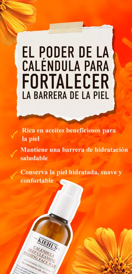 Limpiador facial Calendula Deep Cleansing Foaming Face Wash de Kiehl's. Rico en aceites beneficiosos que aprovechan el poder de la calendula para fortalecer la barrera y mantener la hidratacion de la piel.