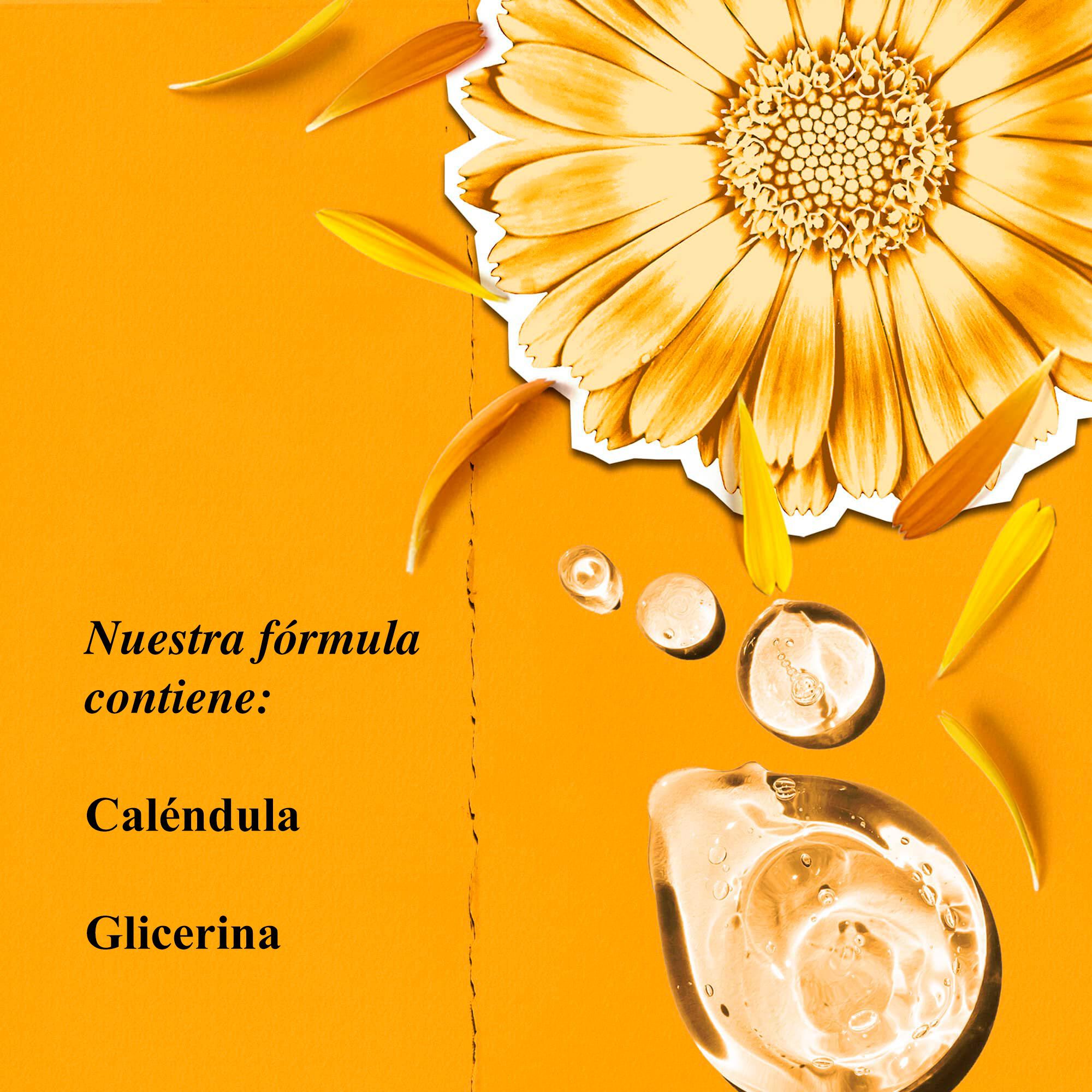 Calendula Deep Cleansing Foaming Face Wash