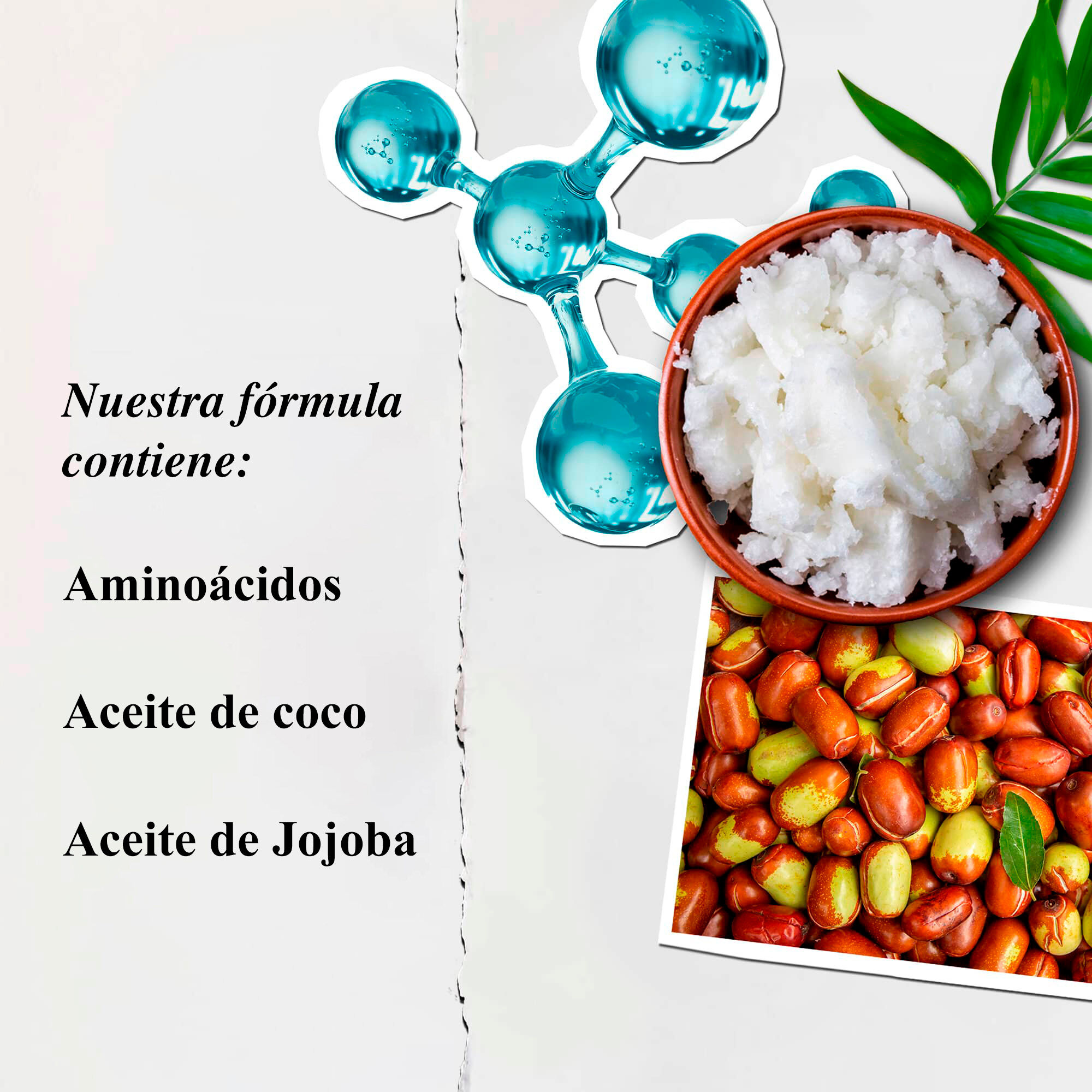 Amino Acid Conditioner